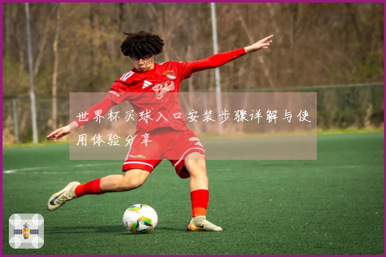 世界杯买球入口安装步骤详解与使用体验分享
