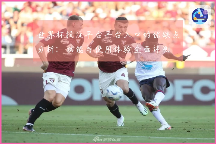 世界杯投注平台平台入口的优缺点分析：功能与使用体验全面评测